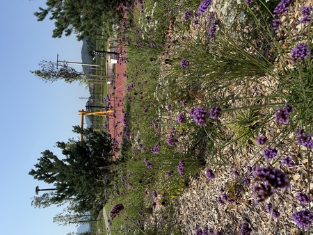 1 športni park 2